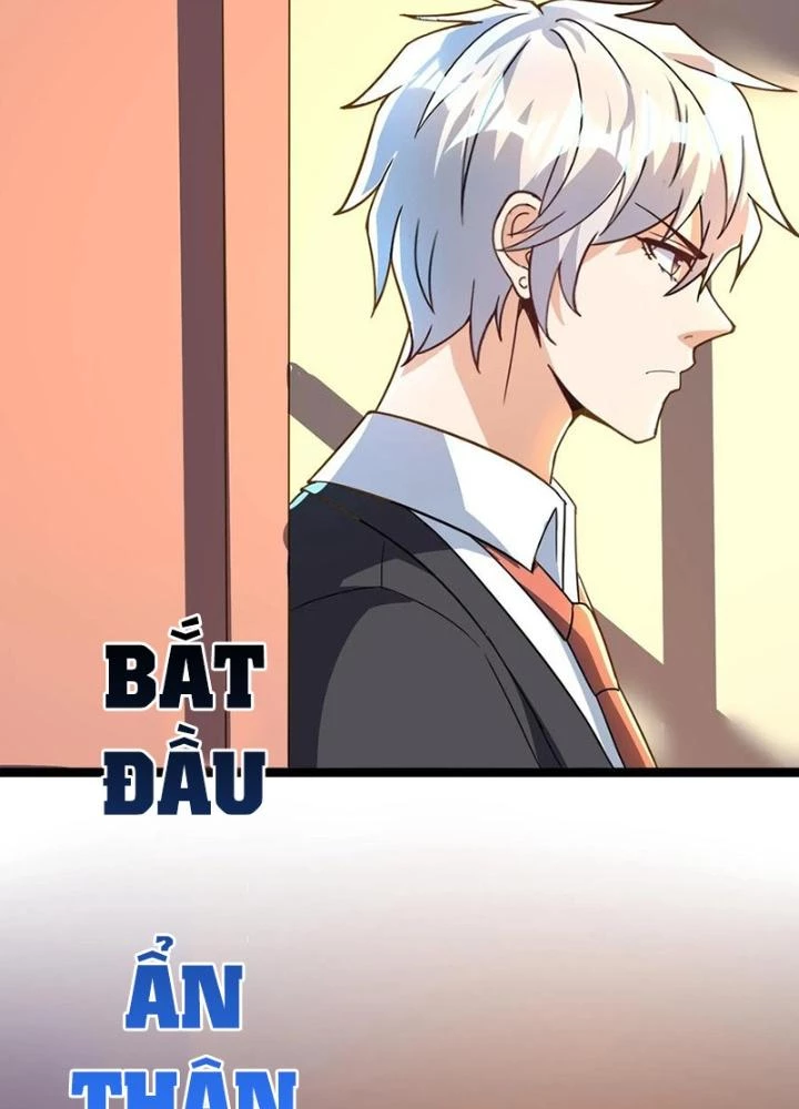 Linh Khí Khôi Phục: Ta Mỗi Ngày Thu Được Một Cái Kỹ Năng Mới Chapter 267 - Trang 2