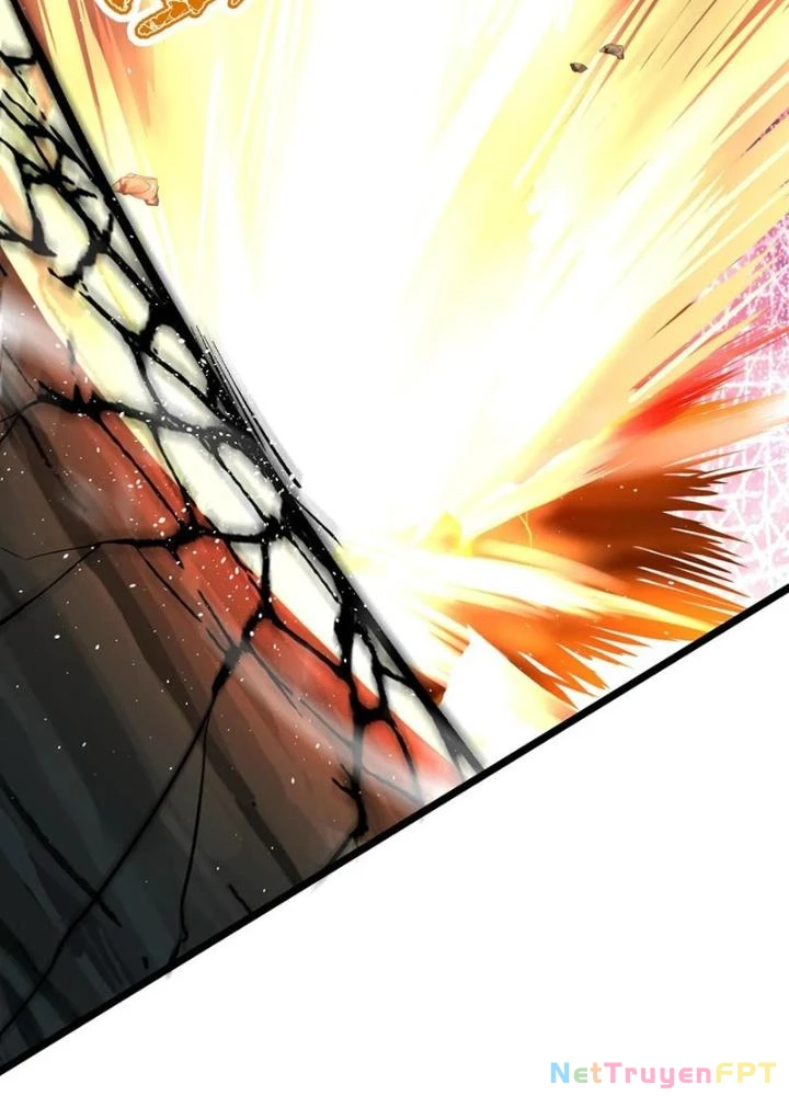 Linh Khí Khôi Phục: Ta Mỗi Ngày Thu Được Một Cái Kỹ Năng Mới Chapter 270 - Trang 2