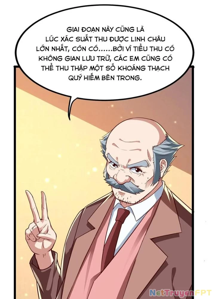 Linh Khí Khôi Phục: Ta Mỗi Ngày Thu Được Một Cái Kỹ Năng Mới Chapter 272 - Trang 2