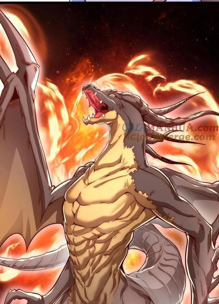 Linh Khí Khôi Phục: Ta Mỗi Ngày Thu Được Một Cái Kỹ Năng Mới Chapter 272 - Trang 2