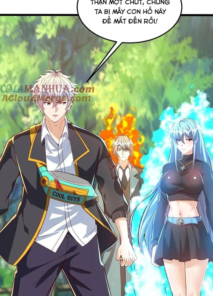 Linh Khí Khôi Phục: Ta Mỗi Ngày Thu Được Một Cái Kỹ Năng Mới Chapter 273 - Trang 2