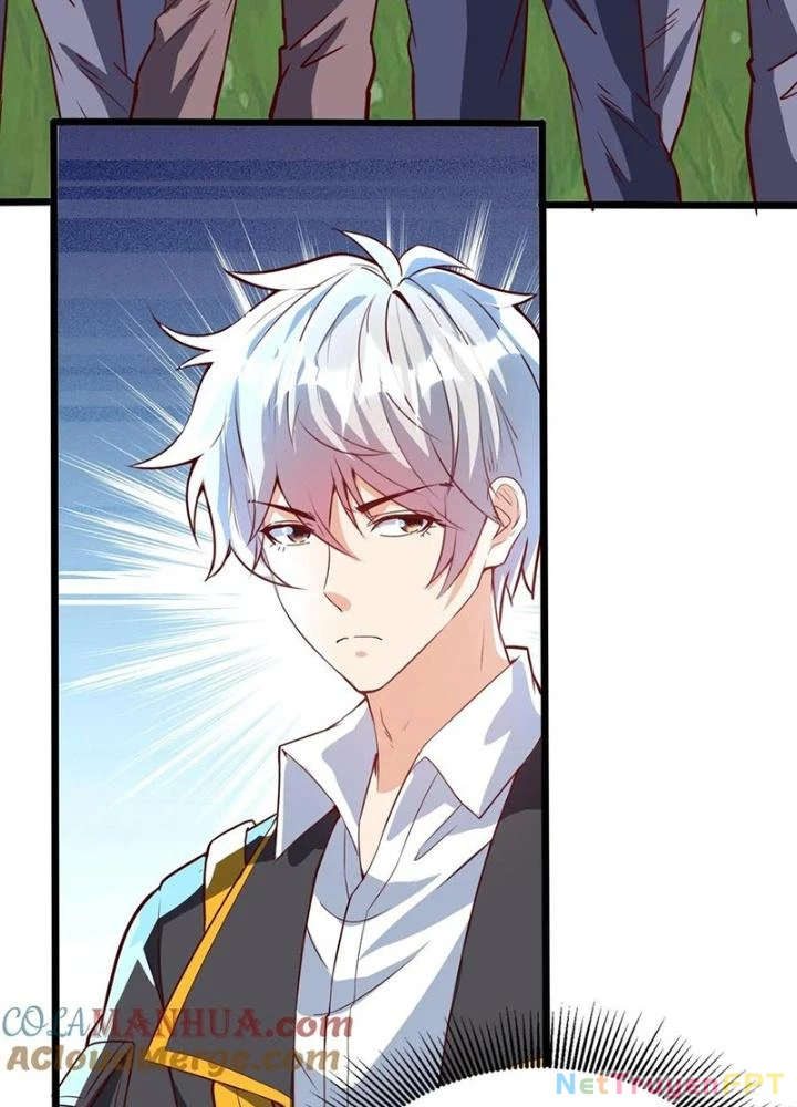 Linh Khí Khôi Phục: Ta Mỗi Ngày Thu Được Một Cái Kỹ Năng Mới Chapter 273 - Trang 2