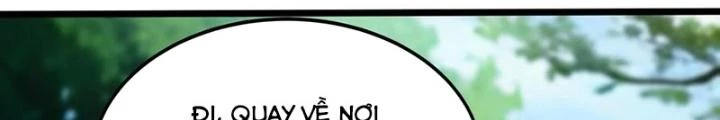 Linh Khí Khôi Phục: Ta Mỗi Ngày Thu Được Một Cái Kỹ Năng Mới Chapter 278 - Trang 2