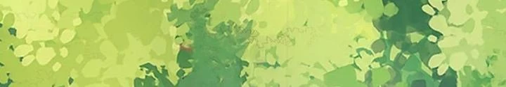Linh Khí Khôi Phục: Ta Mỗi Ngày Thu Được Một Cái Kỹ Năng Mới Chapter 281 - Trang 2