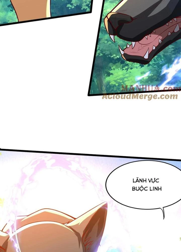 Linh Khí Khôi Phục: Ta Mỗi Ngày Thu Được Một Cái Kỹ Năng Mới Chapter 281 - Trang 2