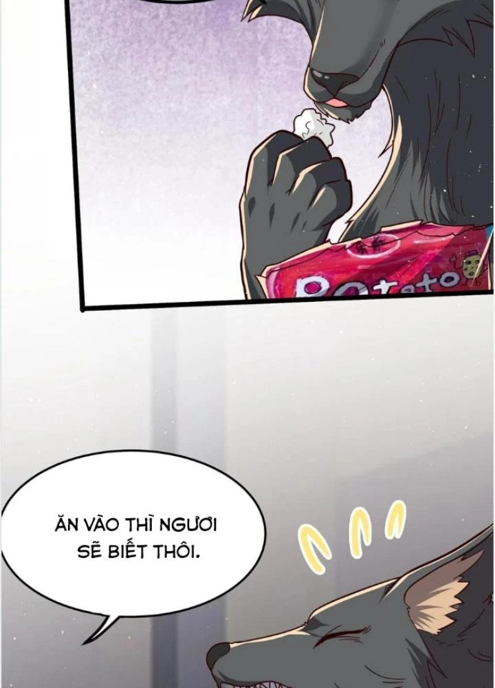Linh Khí Khôi Phục: Ta Mỗi Ngày Thu Được Một Cái Kỹ Năng Mới Chapter 282 - Trang 2