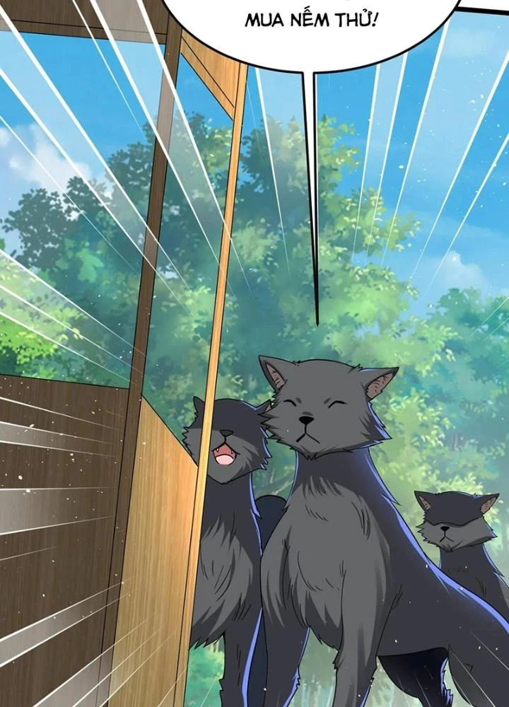 Linh Khí Khôi Phục: Ta Mỗi Ngày Thu Được Một Cái Kỹ Năng Mới Chapter 283 - Trang 2