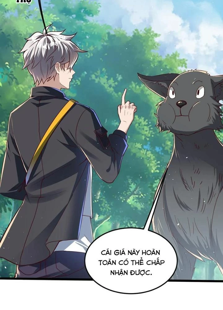 Linh Khí Khôi Phục: Ta Mỗi Ngày Thu Được Một Cái Kỹ Năng Mới Chapter 283 - Trang 2