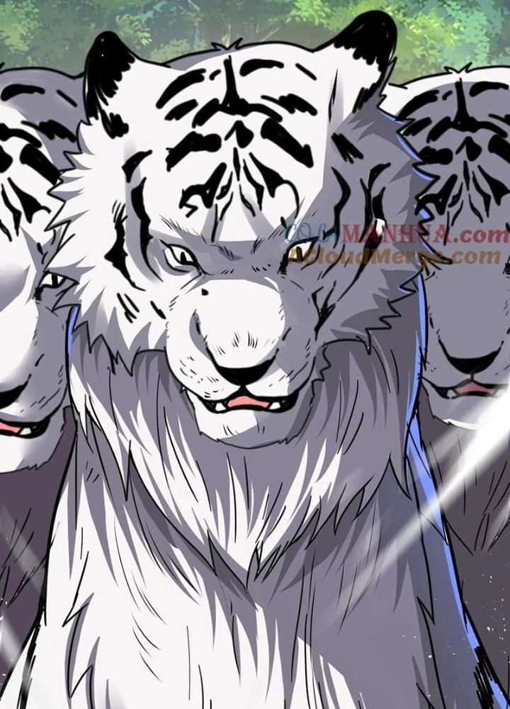 Linh Khí Khôi Phục: Ta Mỗi Ngày Thu Được Một Cái Kỹ Năng Mới Chapter 283 - Trang 2