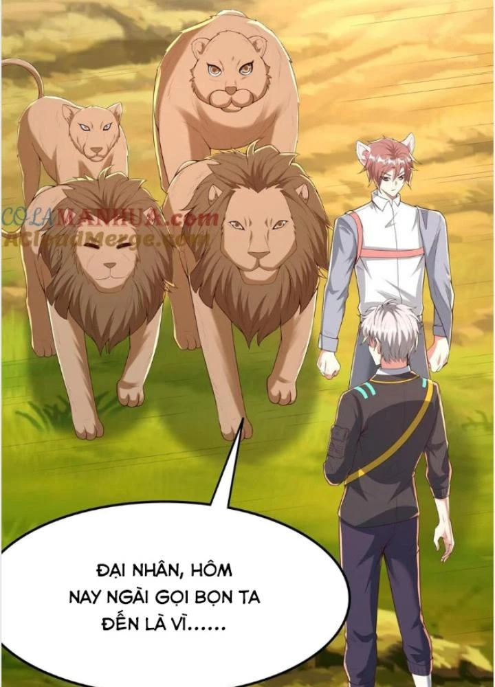 Linh Khí Khôi Phục: Ta Mỗi Ngày Thu Được Một Cái Kỹ Năng Mới Chapter 284 - Trang 2