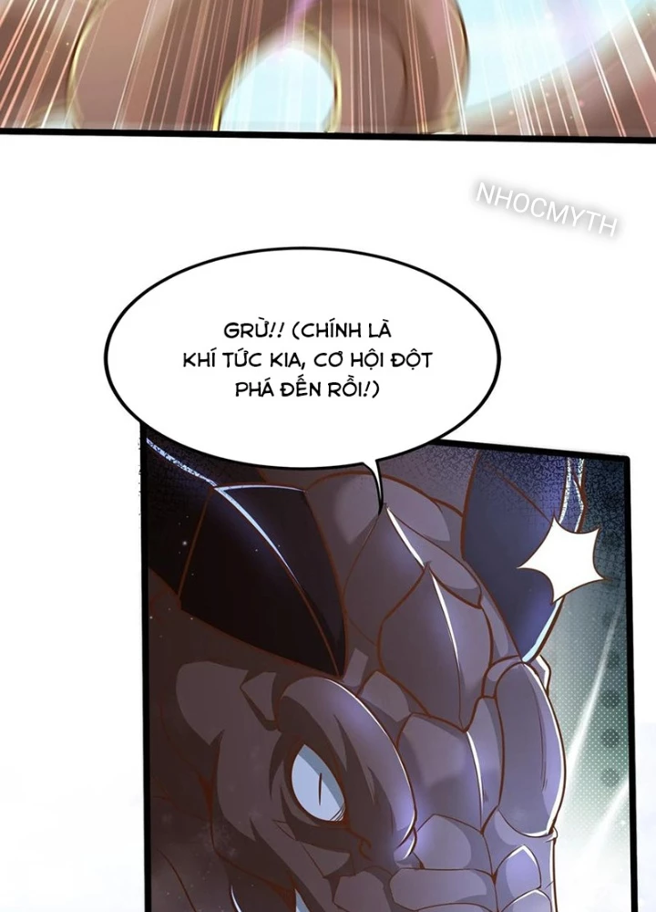 Linh Khí Khôi Phục: Ta Mỗi Ngày Thu Được Một Cái Kỹ Năng Mới Chapter 285 - Trang 2