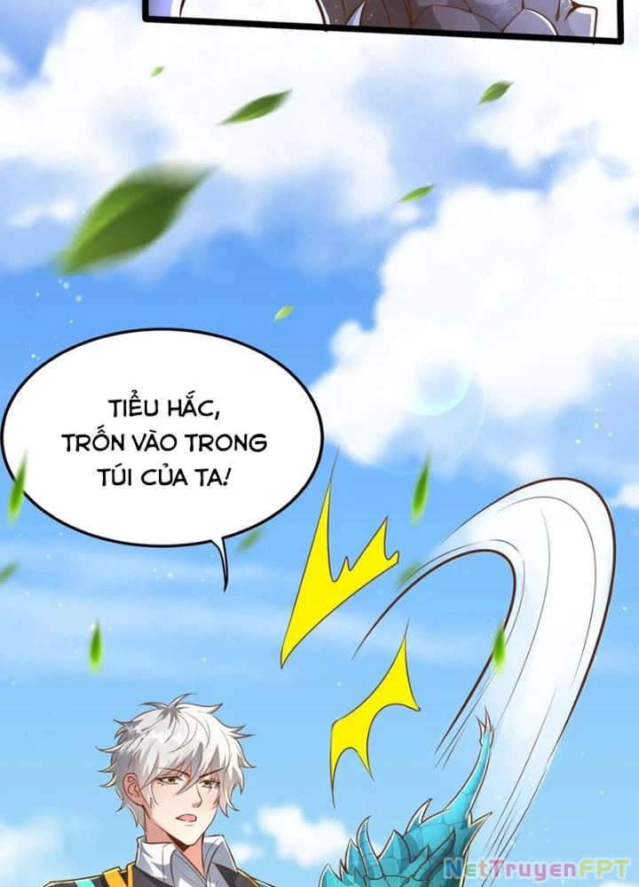 Linh Khí Khôi Phục: Ta Mỗi Ngày Thu Được Một Cái Kỹ Năng Mới Chapter 285 - Trang 2