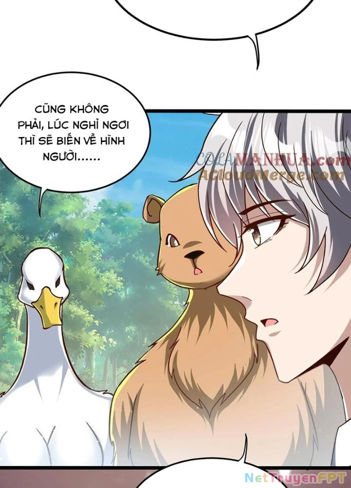 Linh Khí Khôi Phục: Ta Mỗi Ngày Thu Được Một Cái Kỹ Năng Mới Chapter 287 - Trang 2