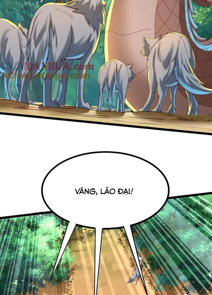 Linh Khí Khôi Phục: Ta Mỗi Ngày Thu Được Một Cái Kỹ Năng Mới Chapter 288 - Trang 2