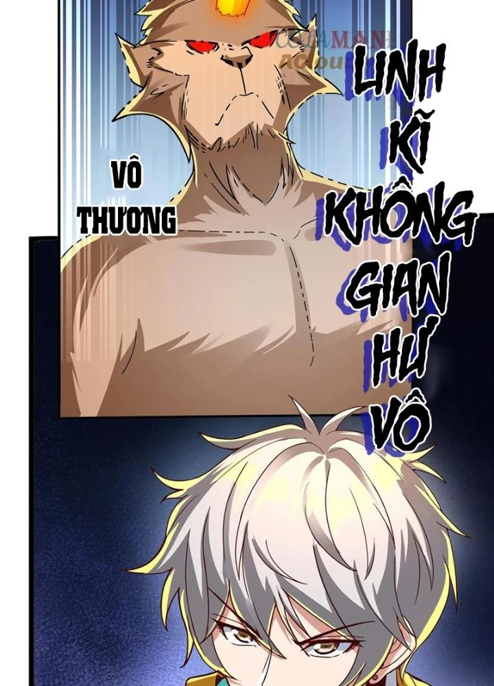 Linh Khí Khôi Phục: Ta Mỗi Ngày Thu Được Một Cái Kỹ Năng Mới Chapter 288 - Trang 2