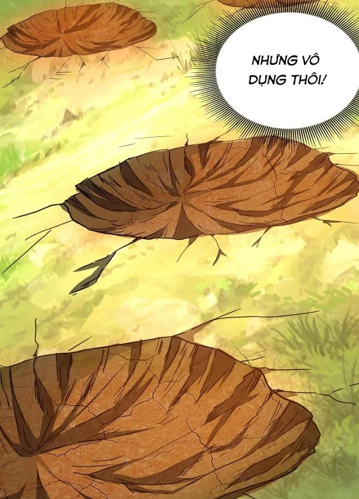 Linh Khí Khôi Phục: Ta Mỗi Ngày Thu Được Một Cái Kỹ Năng Mới Chapter 291 - Trang 2