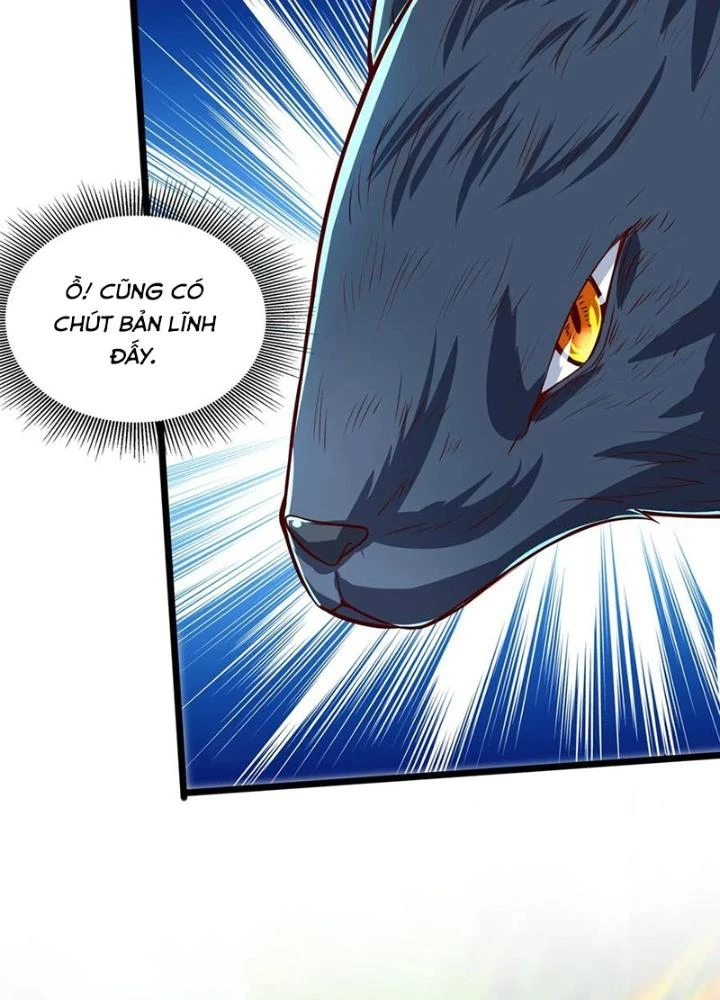 Linh Khí Khôi Phục: Ta Mỗi Ngày Thu Được Một Cái Kỹ Năng Mới Chapter 291 - Trang 2