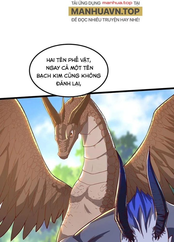 Linh Khí Khôi Phục: Ta Mỗi Ngày Thu Được Một Cái Kỹ Năng Mới Chapter 291 - Trang 2