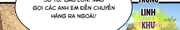 Linh Khí Khôi Phục: Ta Mỗi Ngày Thu Được Một Cái Kỹ Năng Mới Chapter 293 - Trang 2