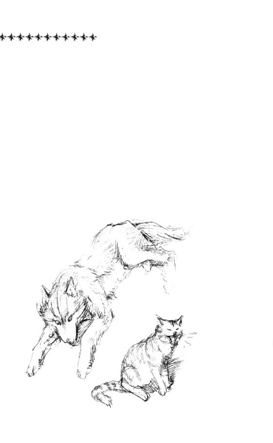 Togari Chapter 16 - Trang 2