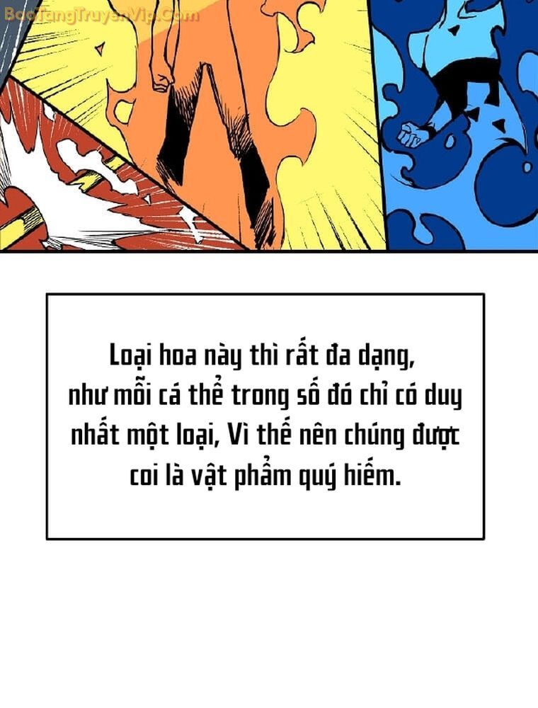 Tôi Đã Đạt Đến Cấp Độ Tối Đa Và Quay Trở Lại Chapter 6 - Trang 2