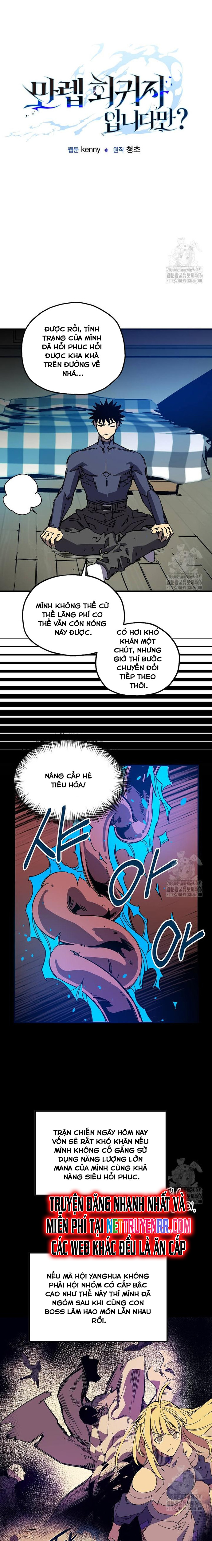 Tôi Đã Đạt Đến Cấp Độ Tối Đa Và Quay Trở Lại Chapter 17 - Trang 2