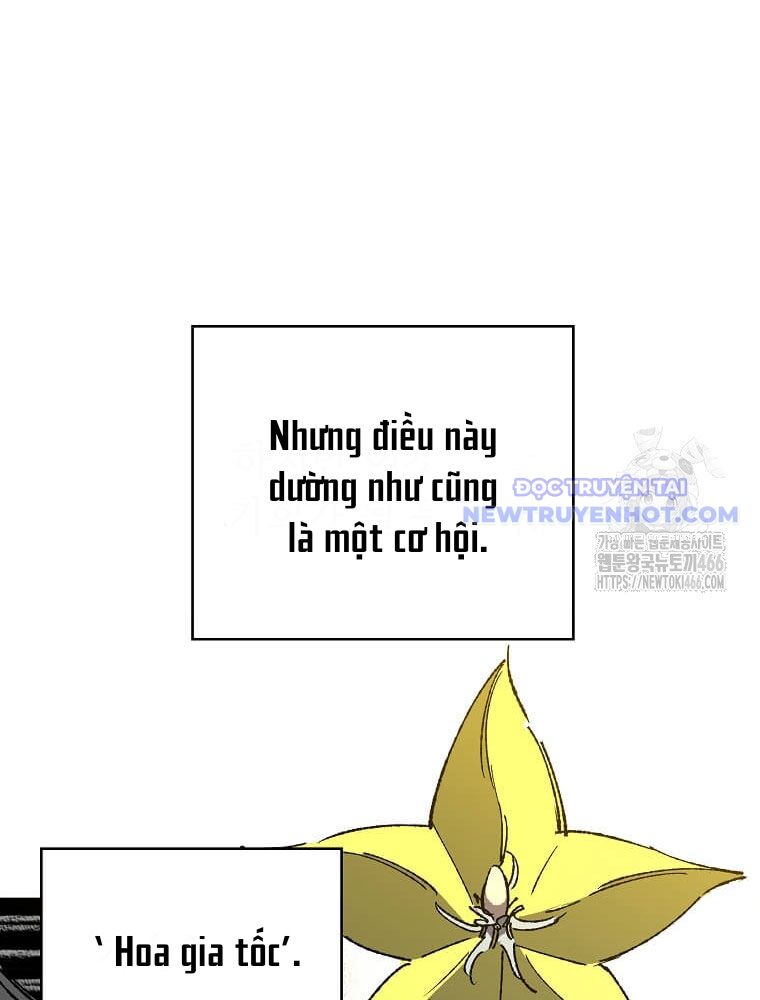 Tôi Đã Đạt Đến Cấp Độ Tối Đa Và Quay Trở Lại Chapter 24 - Trang 2