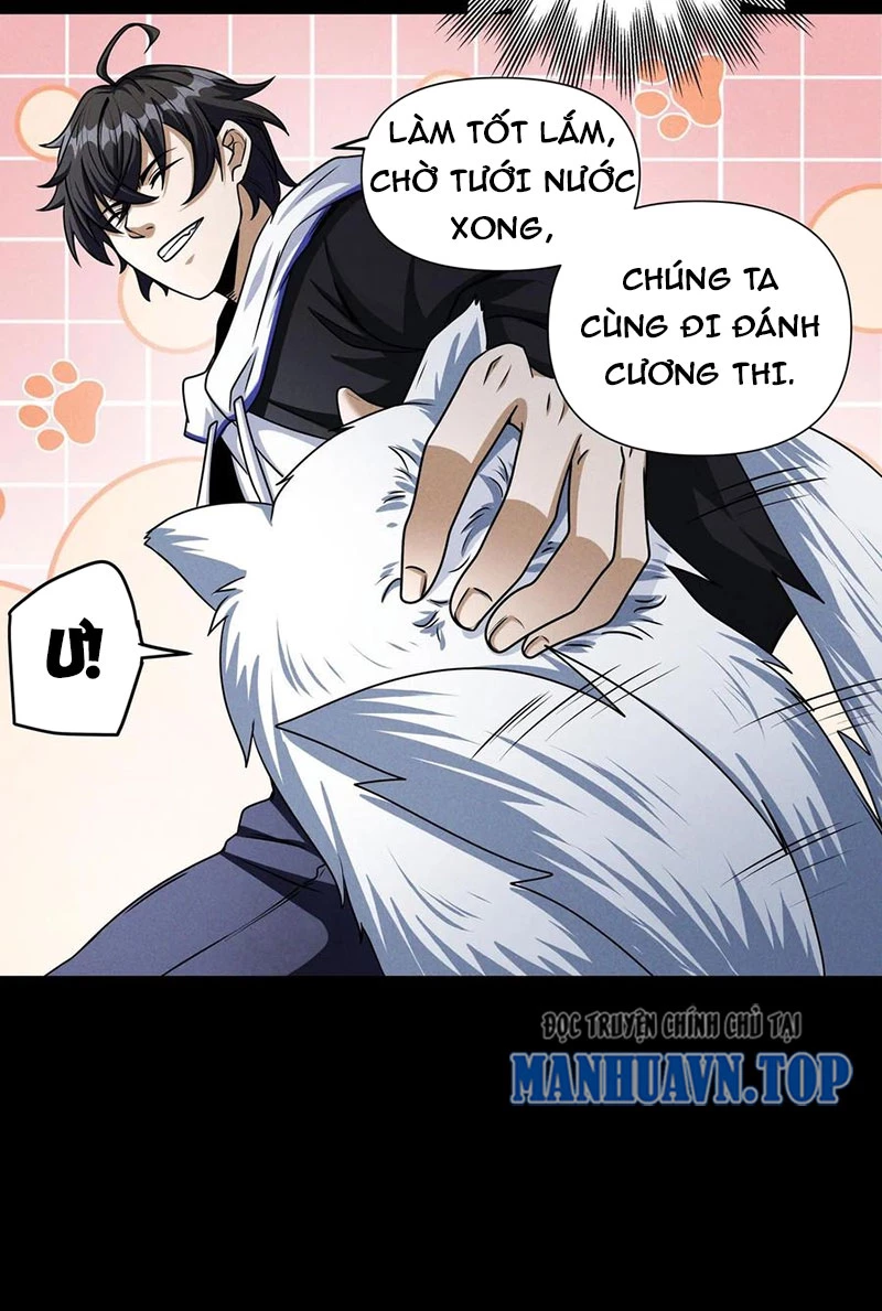 Mạt Thế Cầu Sinh: Ta Có Thể Nhìn Thấy Ẩn Tàng Hệ Thống Chapter 24 - Trang 2