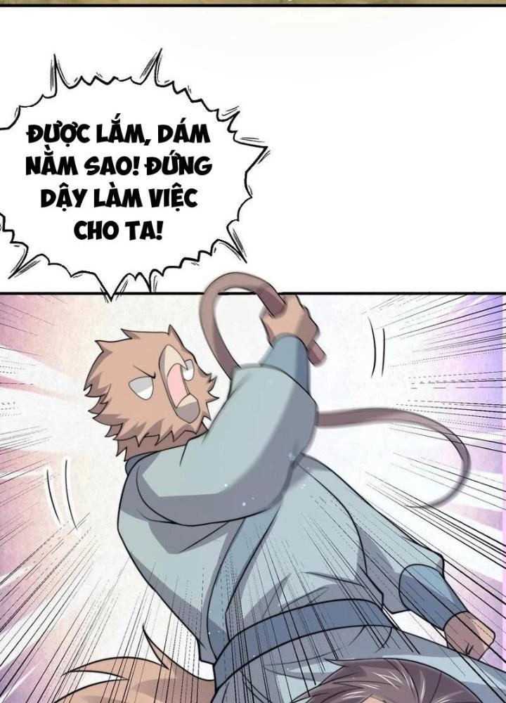Bắt Đầu Livestream Ở Địa Phủ: Phát Sóng Trực Tiếp Ở Đây Ai Dám Đến Chapter 323 - Trang 2