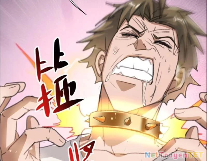 Ta Là Nhân Vật Phản Diện Cướp Khắp Chư Thiên Vạn Giới Chapter 16 - Trang 2