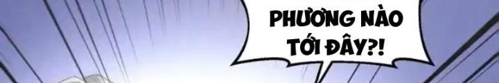 Ngô Mệnh Phụng Thiên Chapter 15 - Trang 2