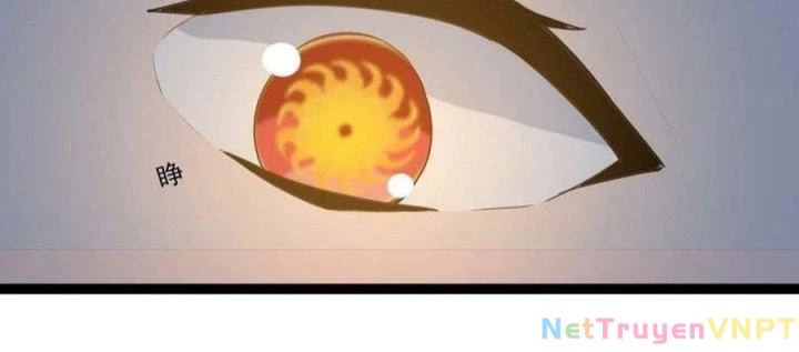 Giải Thoát 99 Nữ Chính Ở Mạt Thế Chapter 174 - Trang 2