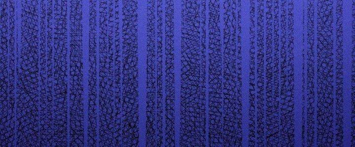 Thức Tỉnh Thành Sứa Nhưng Ta Vẫn Thật Siêu Thần Chapter 41 - Trang 2