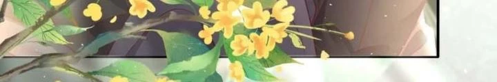 Thiên Hạ Vô Song Chapter 21 - Trang 2