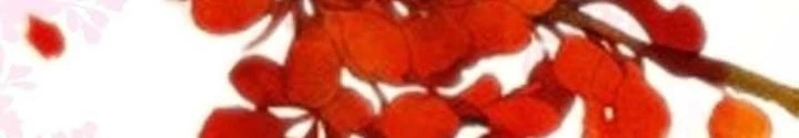 Thiên Hạ Vô Song Chapter 37 - Trang 2