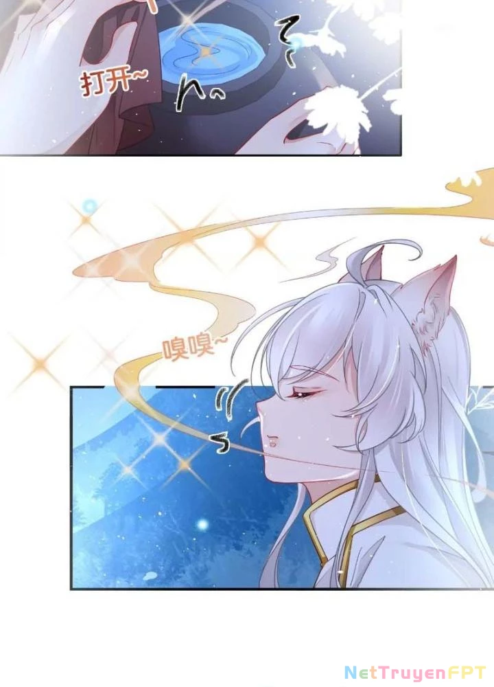 Thiên Hạ Vô Song Chapter 58 - Trang 2
