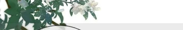 Thiên Hạ Vô Song Chapter 61 - Trang 2
