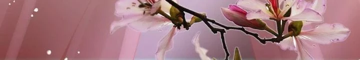 Thiên Hạ Vô Song Chapter 70 - Trang 2