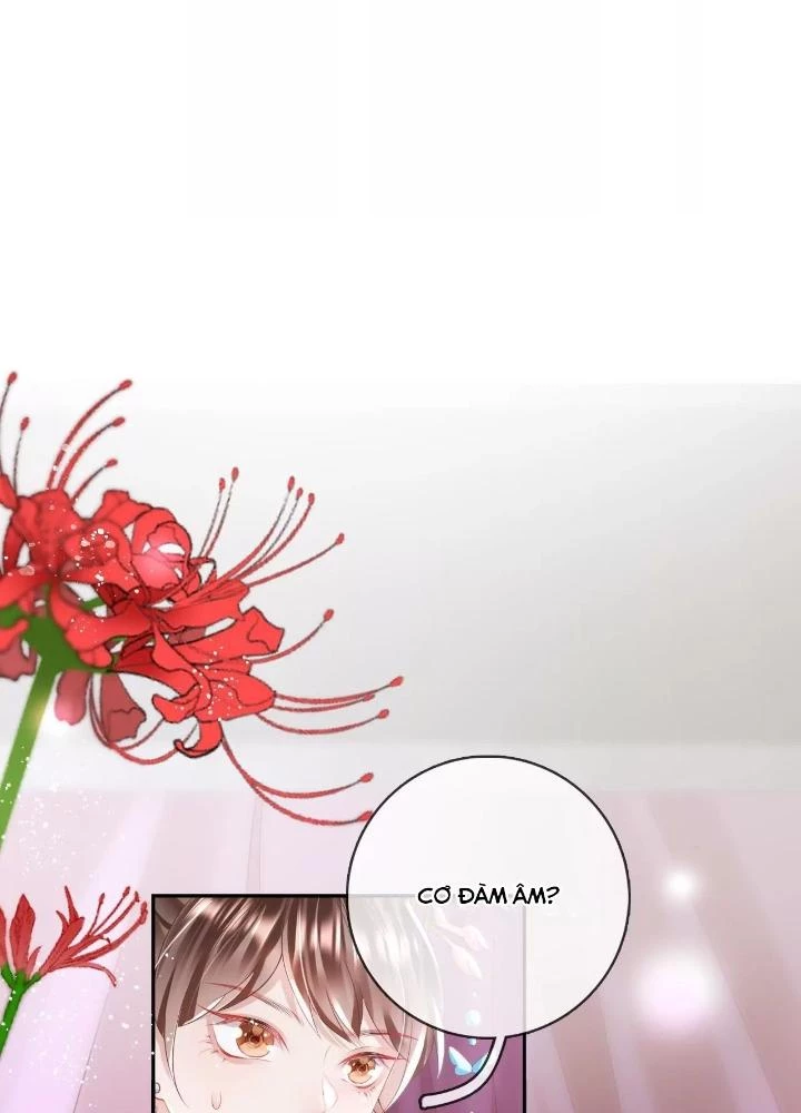 Thiên Hạ Vô Song Chapter 71 - Trang 2
