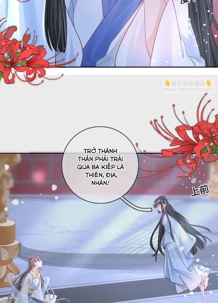 Thiên Hạ Vô Song Chapter 71 - Trang 2
