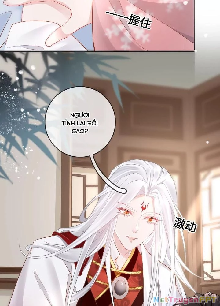 Thiên Hạ Vô Song Chapter 71 - Trang 2