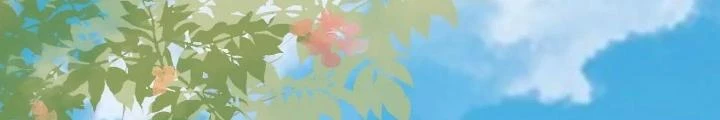 Thiên Hạ Vô Song Chapter 73 - Trang 2