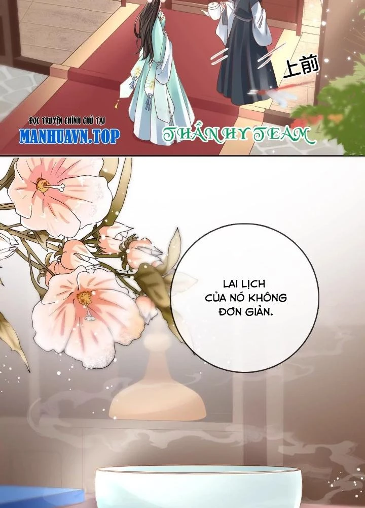 Thiên Hạ Vô Song Chapter 82 - Trang 2
