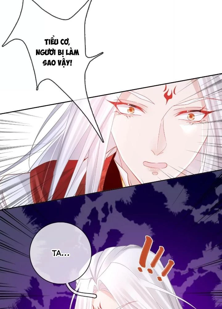 Thiên Hạ Vô Song Chapter 85 - Trang 2