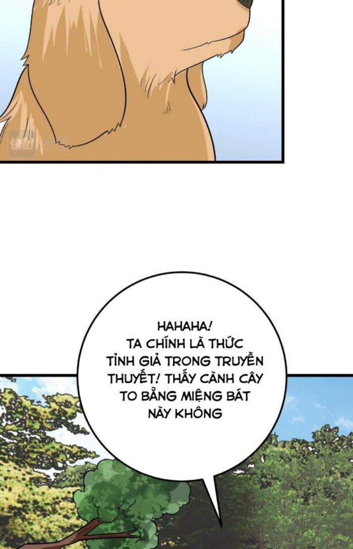 Linh Khí Bạo Phát, Ta Vô Tình Thức Tỉnh Thành Thần Chapter 6 - Trang 2