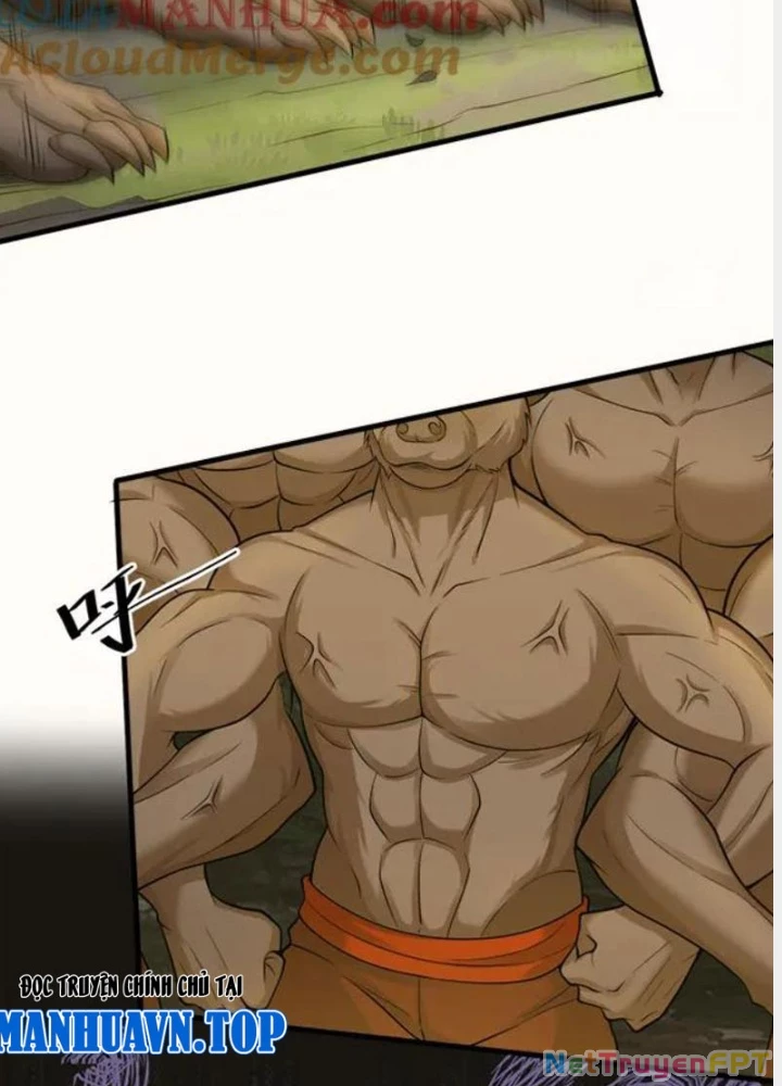 Các Ngươi Tu Tiên Còn Ta Rút Thẻ Chapter 48 - Trang 2