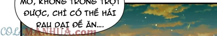 Các Ngươi Tu Tiên Còn Ta Rút Thẻ Chapter 49 - Trang 2