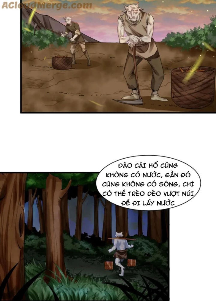 Các Ngươi Tu Tiên Còn Ta Rút Thẻ Chapter 49 - Trang 2