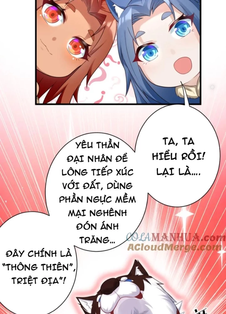 Các Ngươi Tu Tiên Còn Ta Rút Thẻ Chapter 50 - Trang 2