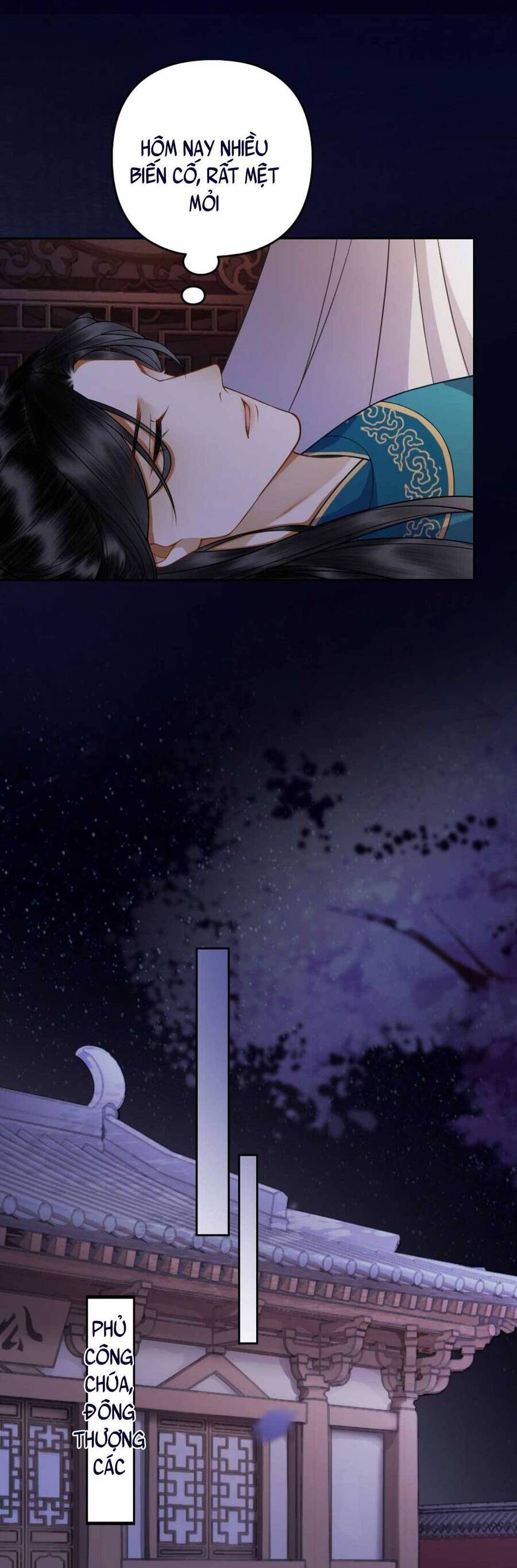 Công Chúa Bá Đạo Tuyệt Sắc : Ám Vệ Ngày Nào Cũng Muốn Phạm Thượng Chapter 26 - Trang 2